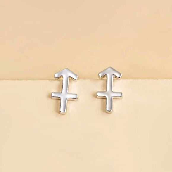Sagittarius Zodiac Earrings  - Picture 2 of 3